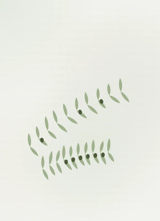 Olive Branch card design: gold foil on sage card